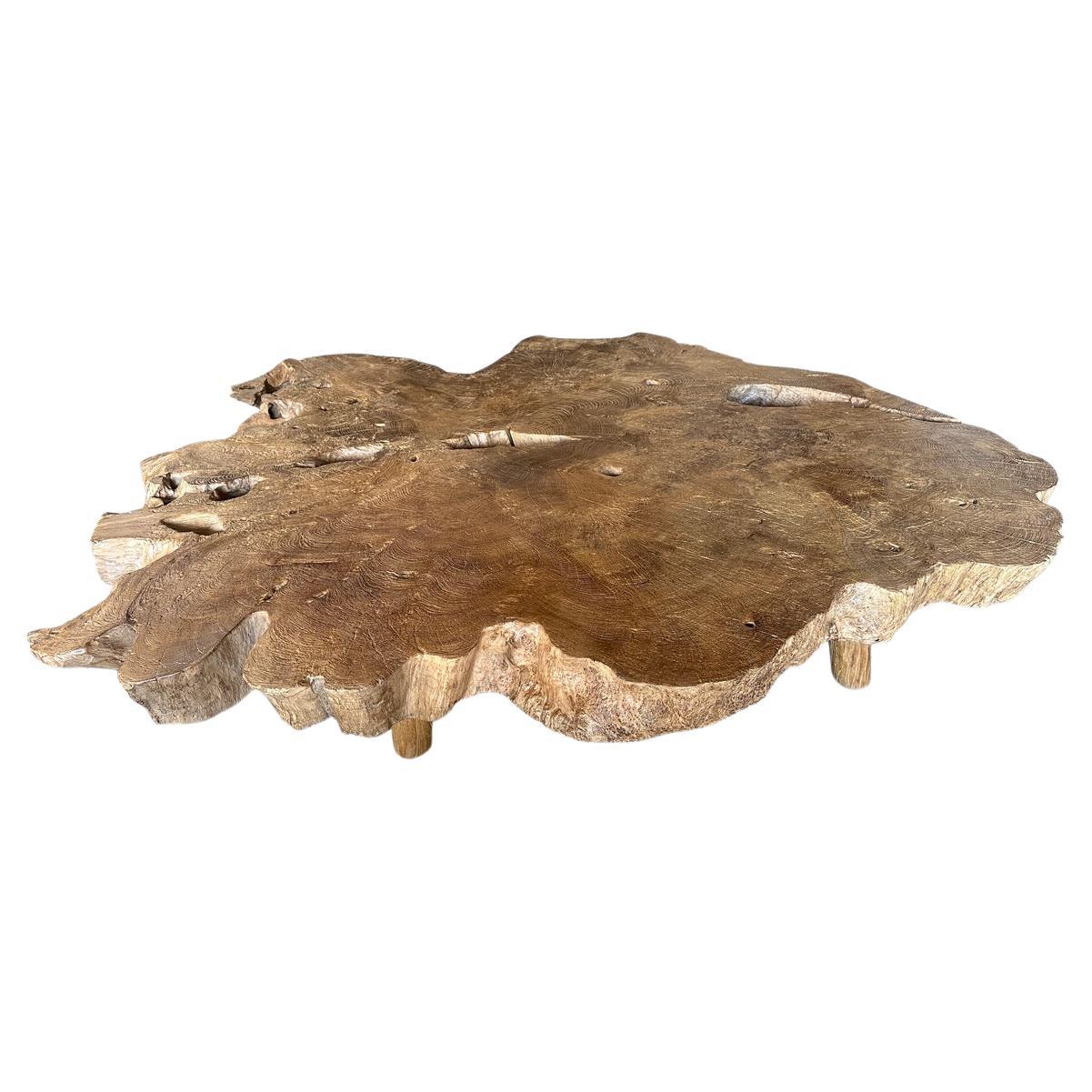 https://a.1stdibscdn.com/andrianna-shamaris-monumental-rare-burl-teak-wood-coffee-table-for-sale/f_10806/f_422478721731189631510/f_42247872_1731189631805_bg_processed.jpg