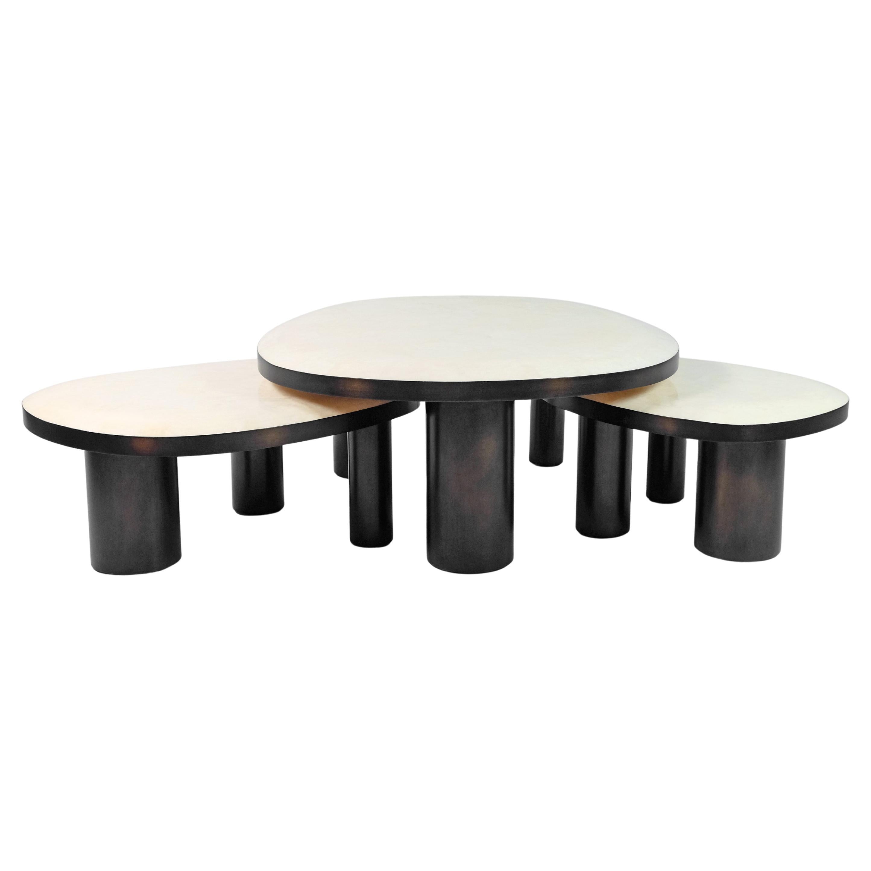 https://a.1stdibscdn.com/set-of-organic-coffee-tables-in-rock-crystal-and-bronzed-finish-by-ginger-brown-for-sale/f_56622/f_423880221732101469798/f_42388022_1732101470686_bg_processed.jpg