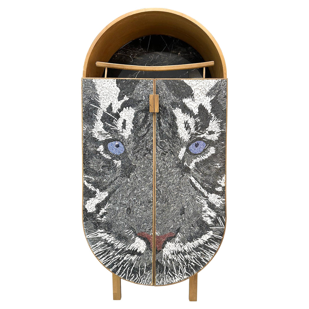 https://a.1stdibscdn.com/marble-oak-cabinet-custom-marble-cabinet-tiger-design-modern-cabinet-for-sale/f_91932/f_427871621734426053431/f_42787162_1734426054943_bg_processed.jpg