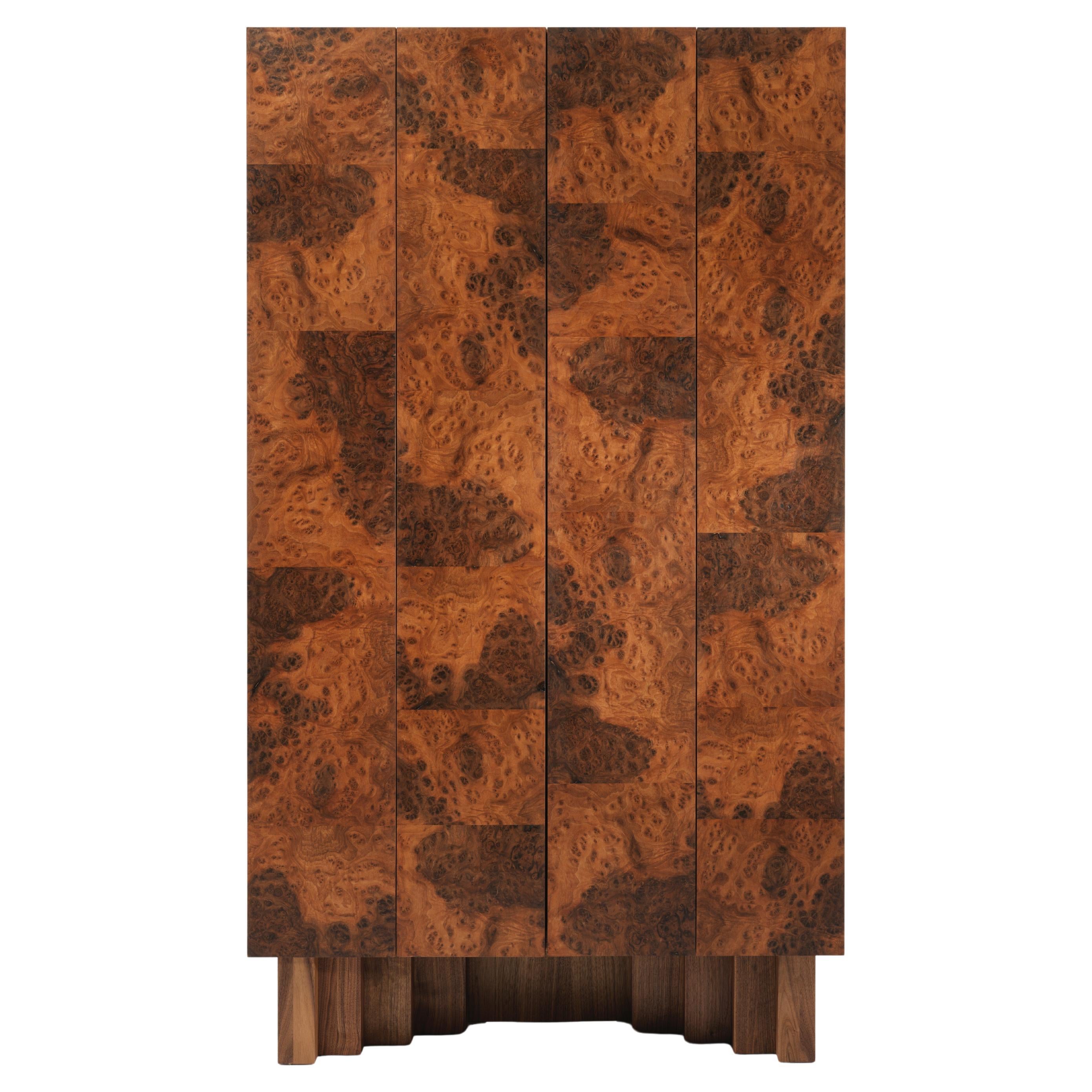 https://a.1stdibscdn.com/contemporary-fira-bar-cabinet-in-american-walnut-burl-veneer-for-sale/f_70152/f_435677821739194817229/f_43567782_1739194818631_bg_processed.jpg