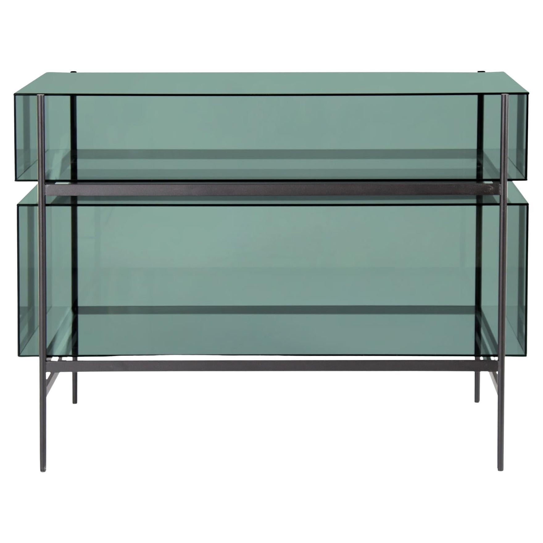 https://a.1stdibscdn.com/customizable-pulpo-lyn-glass-cabinet-by-visser-meijwaard-for-sale/f_44652/f_435870621739291081091/f_43587062_1739291081549_bg_processed.jpg