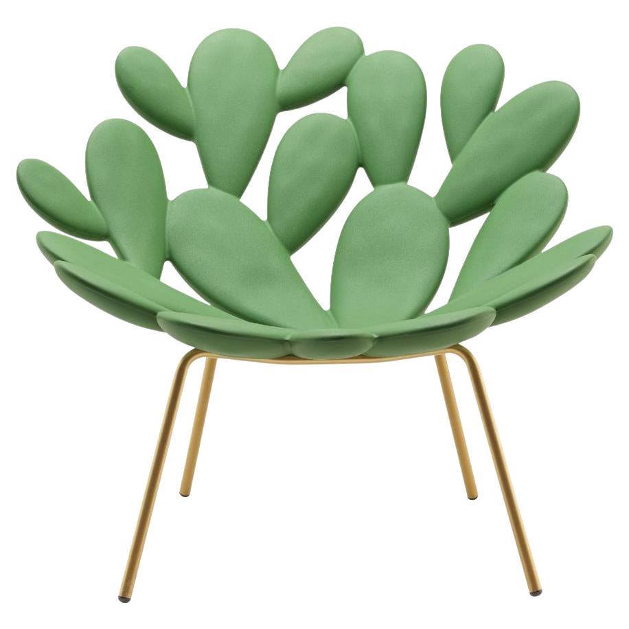 https://a.1stdibscdn.com/filicudi-armchair-in-balsam-green-brass-recyclable-polyethylene-by-marcantonio-for-sale/56838212/f_436804921739953320346/f_43680492_1739953320588_bg_processed.jpg