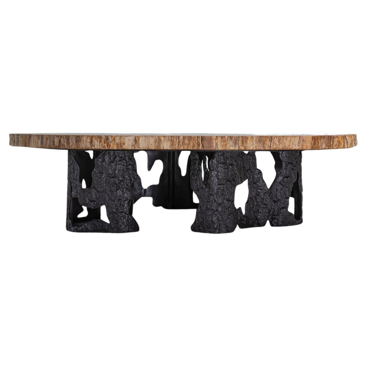 https://a.1stdibscdn.com/fossil-coffee-table-in-petrified-wood-overlay-top-brass-viya-by-vikram-goyal-for-sale/f_89622/f_438691821740992523894/f_43869182_1740992524164_bg_processed.jpg