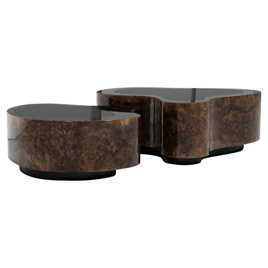 https://a.1stdibscdn.com/dalia-walnut-set-of-2-coffee-table-for-sale/f_14282/f_439375221744219480536/f_43937522_1744219480835_bg_processed.jpg