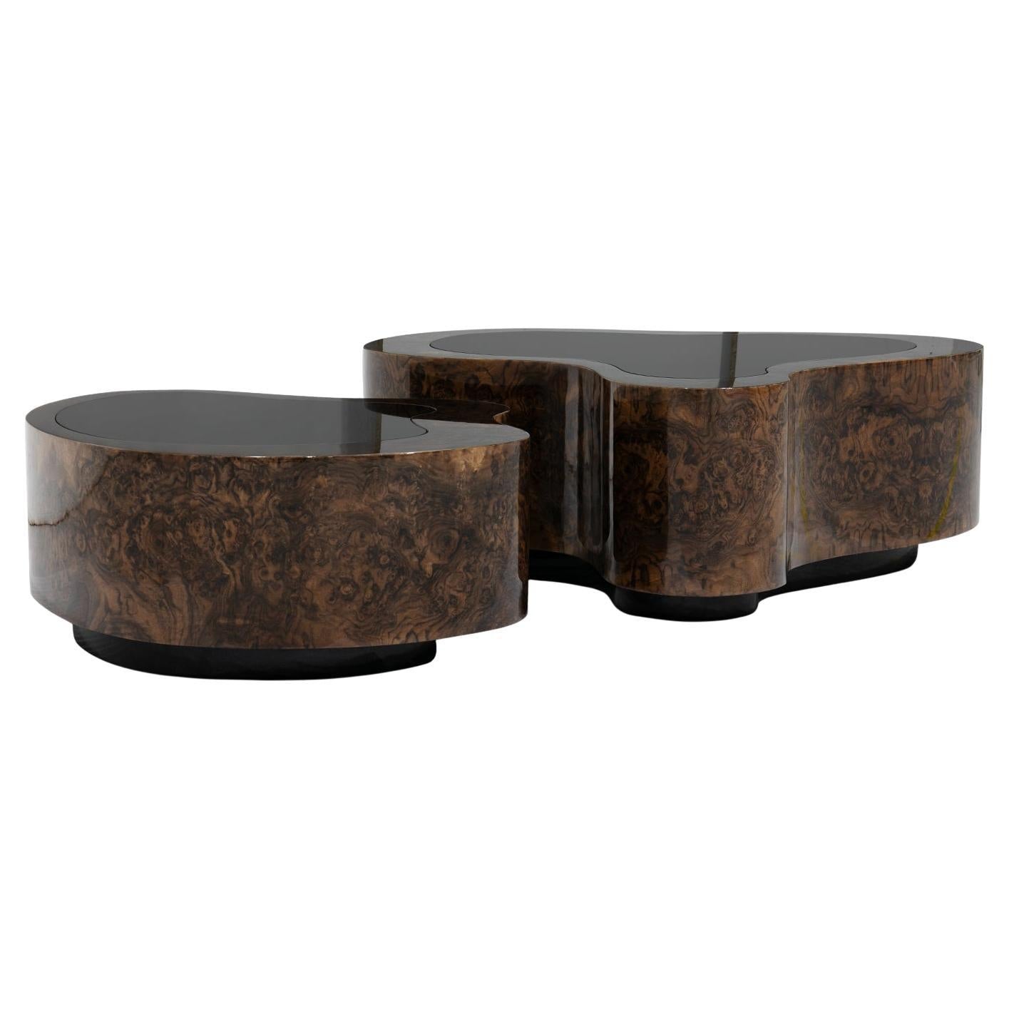 https://a.1stdibscdn.com/dalia-walnut-set-of-2-coffee-table-for-sale/f_14282/f_439375221744219480536/f_43937522_1744219480835_bg_processed.jpg