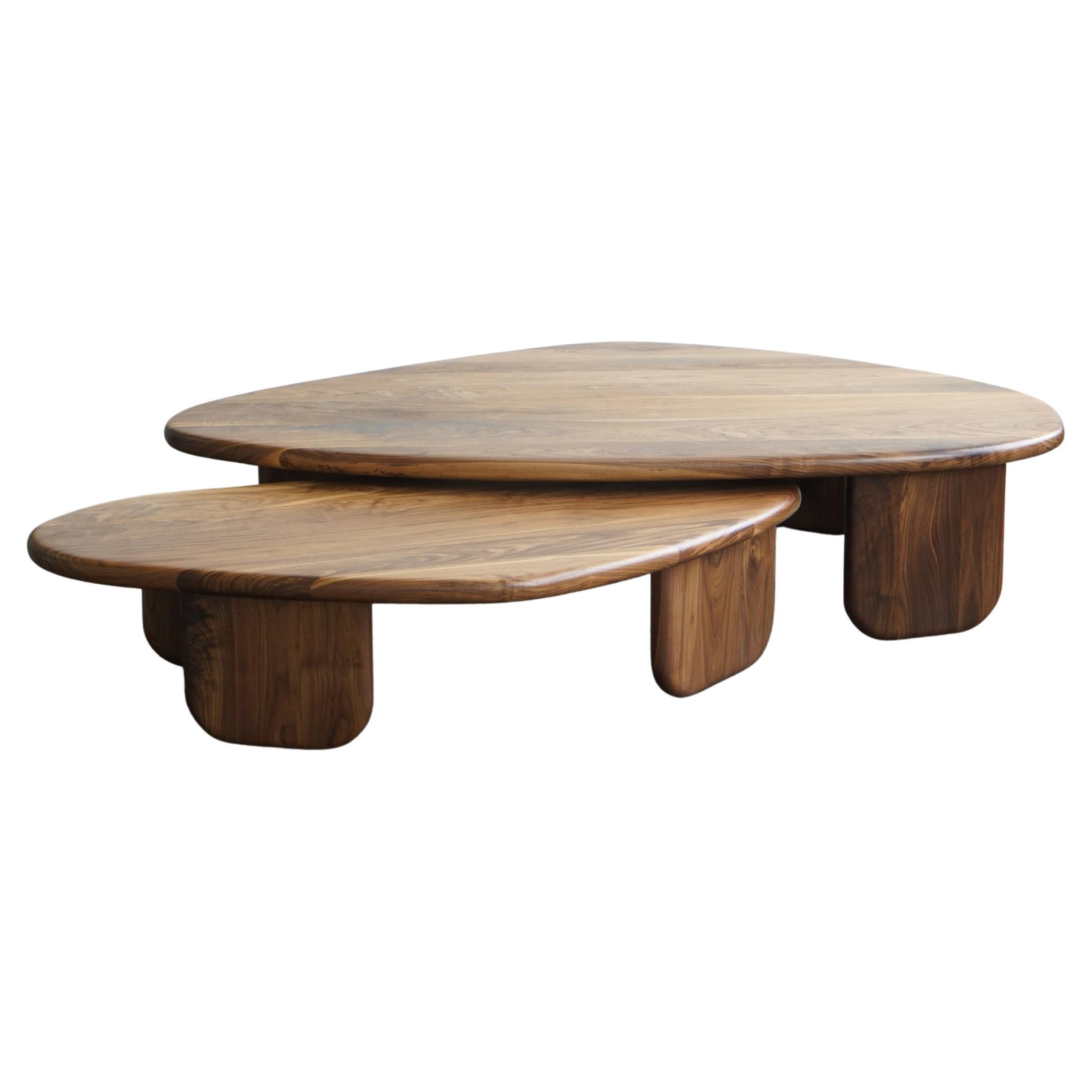https://a.1stdibscdn.com/organic-3-modern-nesting-coffee-tables-by-last-workshop-walnut-for-sale/f_73622/f_439621221741545138481/f_43962122_1741545139130_bg_processed.jpg