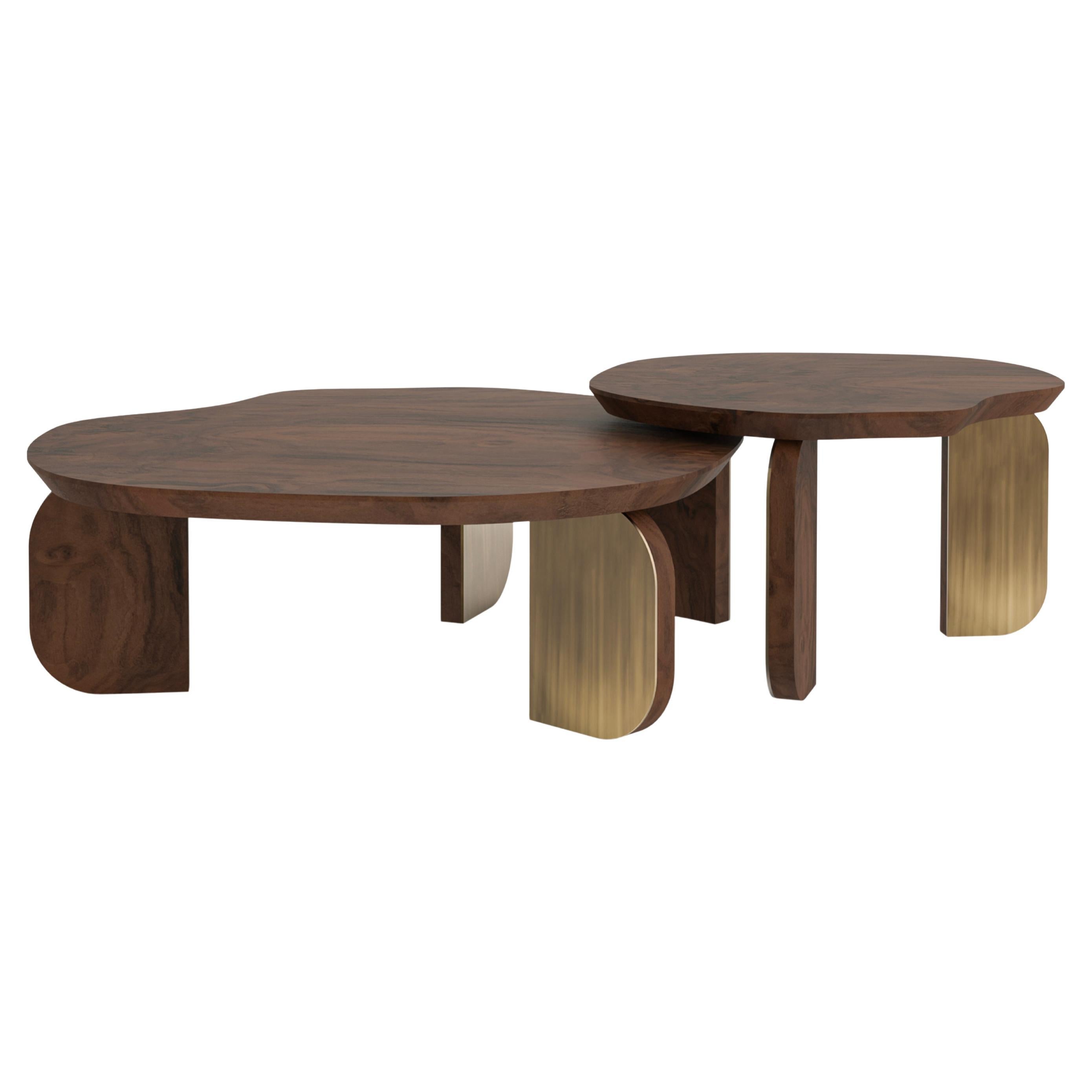 https://a.1stdibscdn.com/contemporary-dornes-nesting-coffee-table-set-2-walnut-root-handmade-greenapple-for-sale/f_53532/f_451499221764242537027/f_45149922_1764242537759_bg_processed.jpg