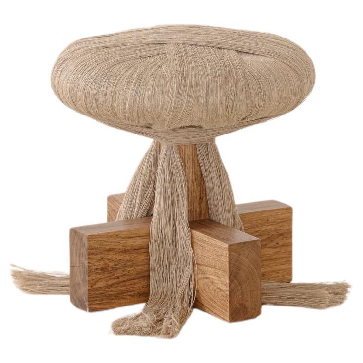 https://a.1stdibscdn.com/juta-stool-by-juliana-vasconcellos-contemporary-brazilian-design-for-sale/f_39791/f_451640221748027643611/f_45164022_1748027643766_bg_processed.jpg