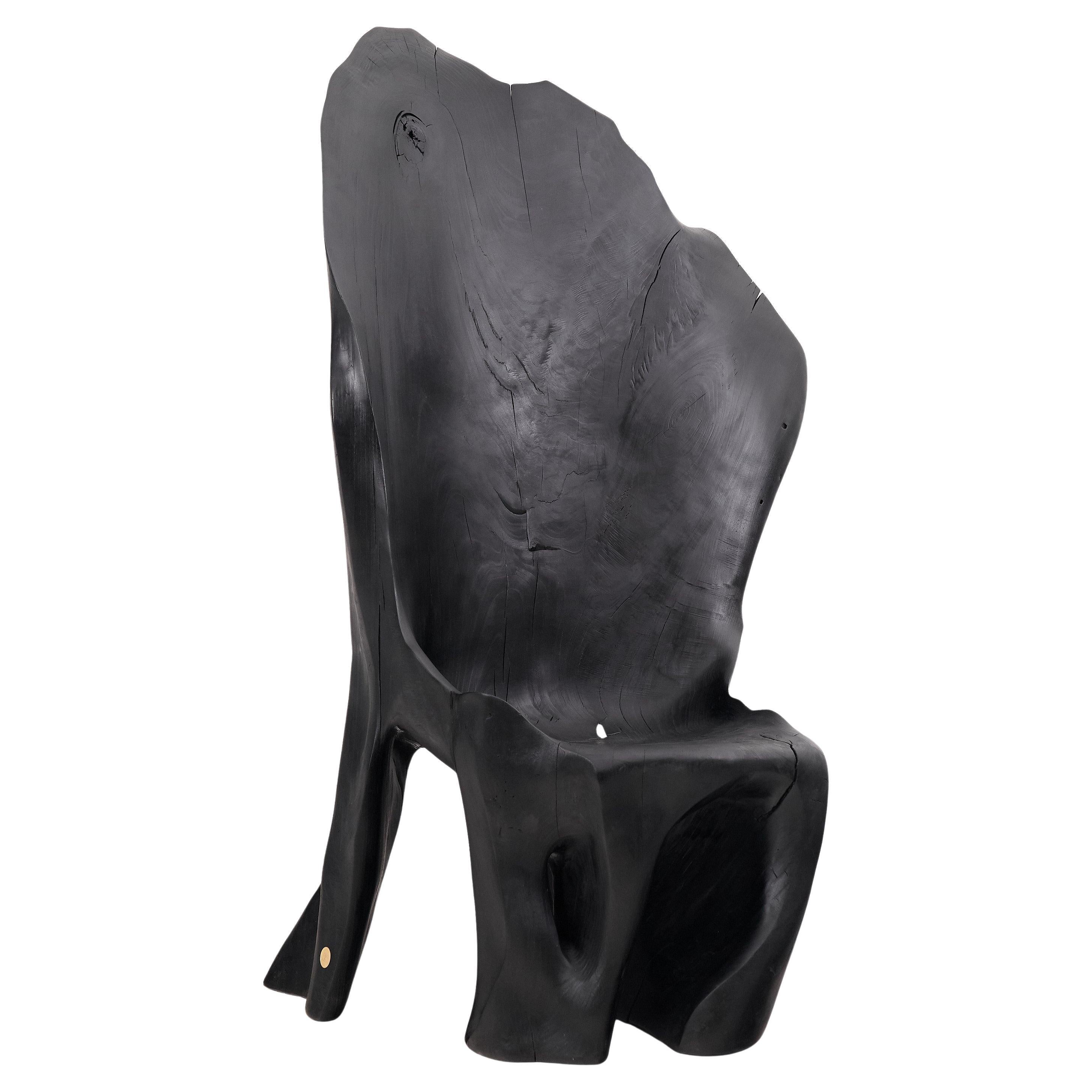 https://a.1stdibscdn.com/xxl-charred-black-wood-throne-chair-in-organic-form-by-logniture-for-sale/f_80402/f_452625221748697463847/f_45262522_1748697464992_bg_processed.jpg