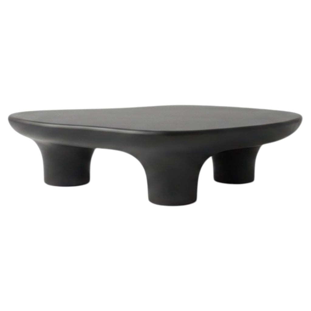 https://a.1stdibscdn.com/contemporary-amorphous-coffee-table-in-black-brown-lacquer-2025-for-sale/f_27693/f_455356121777400859278/f_45535612_1777400859362_bg_processed.jpg