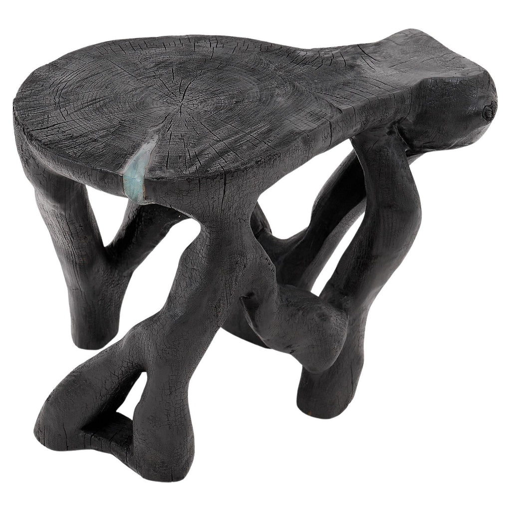 https://a.1stdibscdn.com/rustic-sculptural-coffee-table-burnt-black-wood-carved-unique-logniture-for-sale/f_80402/f_459843421753276395691/f_45984342_1753276396148_bg_processed.jpg