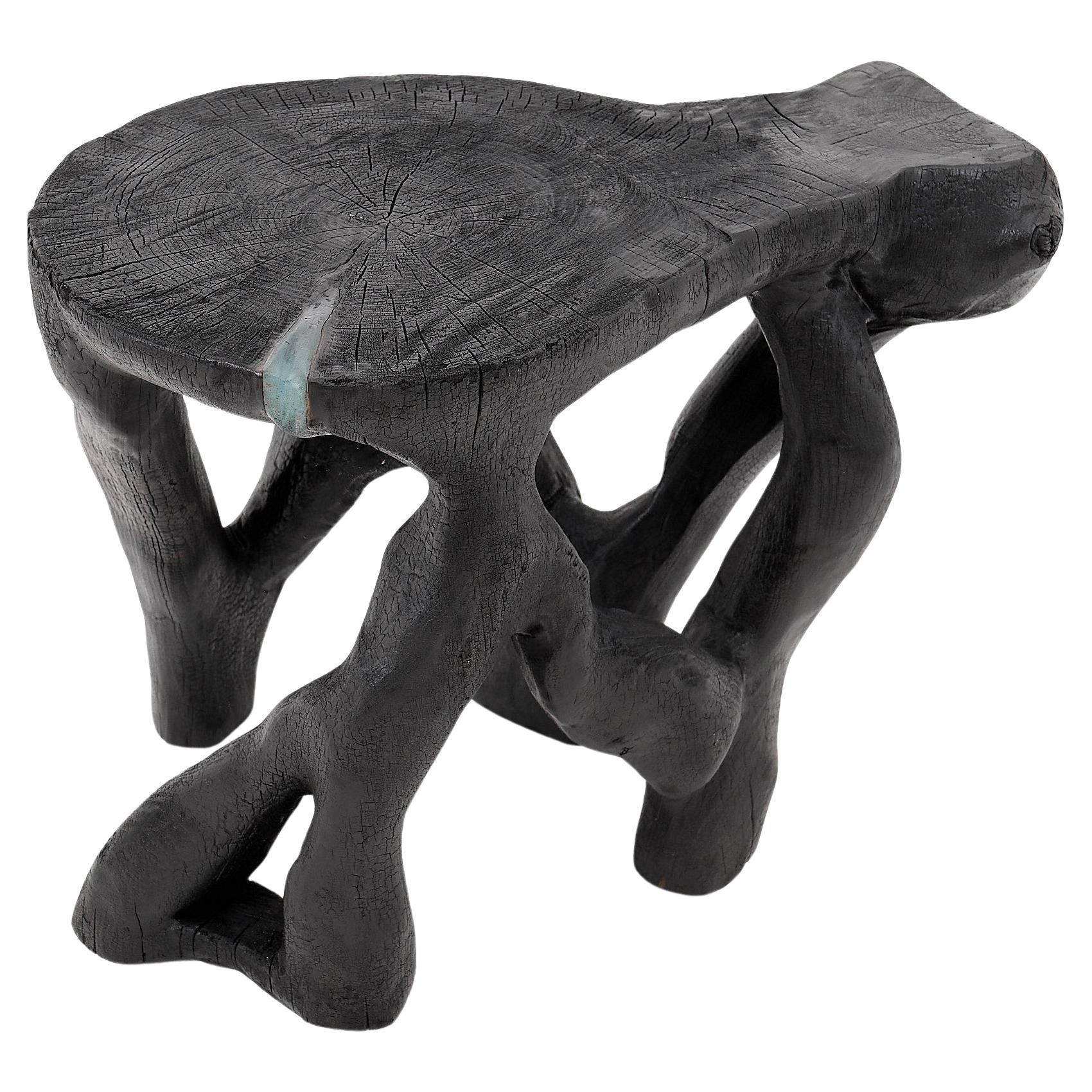 https://a.1stdibscdn.com/rustic-sculptural-coffee-table-burnt-black-wood-carved-unique-logniture-for-sale/f_80402/f_459843421753276395691/f_45984342_1753276396148_bg_processed.jpg