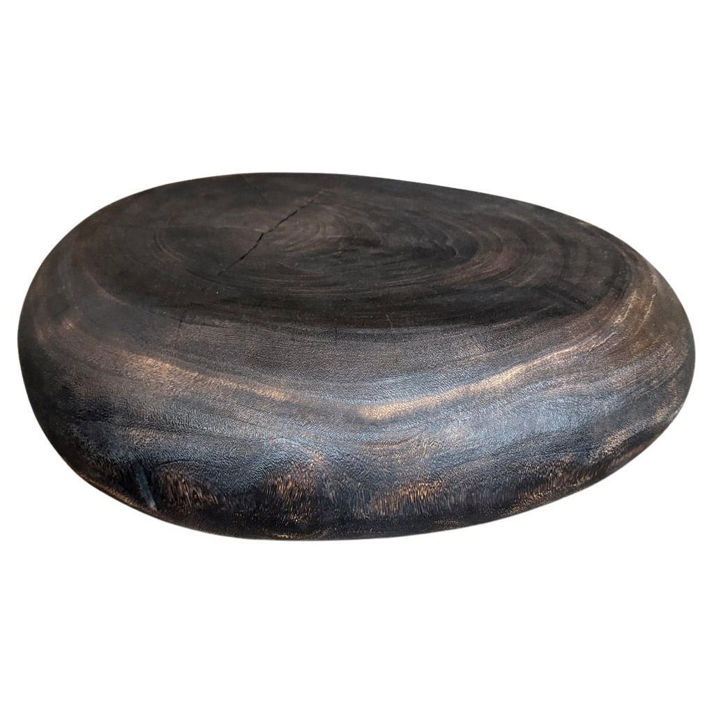 https://a.1stdibscdn.com/andrianna-shamaris-pebble-style-suar-wood-charred-coffee-table-for-sale/f_10806/f_460570621753747972275/f_46057062_1753747972912_bg_processed.jpg