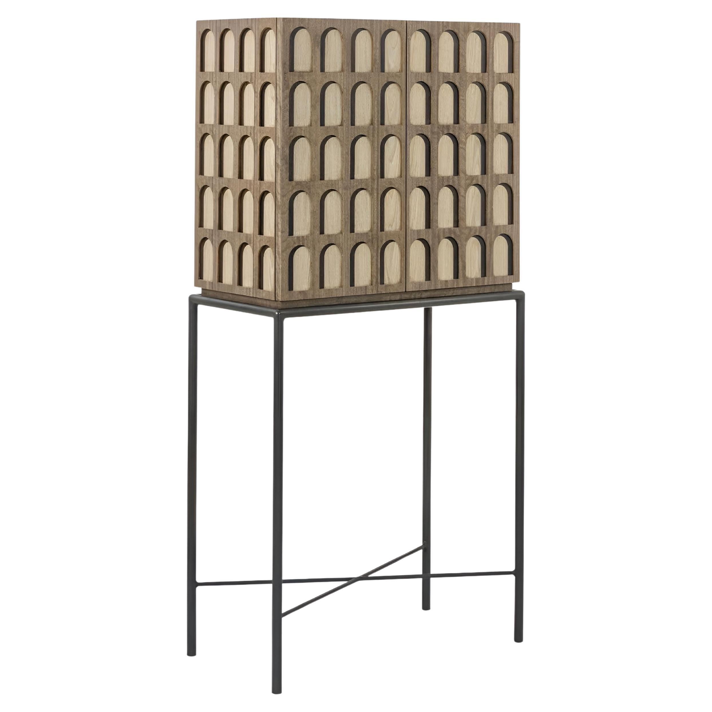 https://a.1stdibscdn.com/geometric-two-doors-cabinet-in-aged-eucalyptus-wood-oxidized-brass-structure-for-sale/f_27693/f_460722221753866712078/f_46072222_1753866712763_bg_processed.jpg