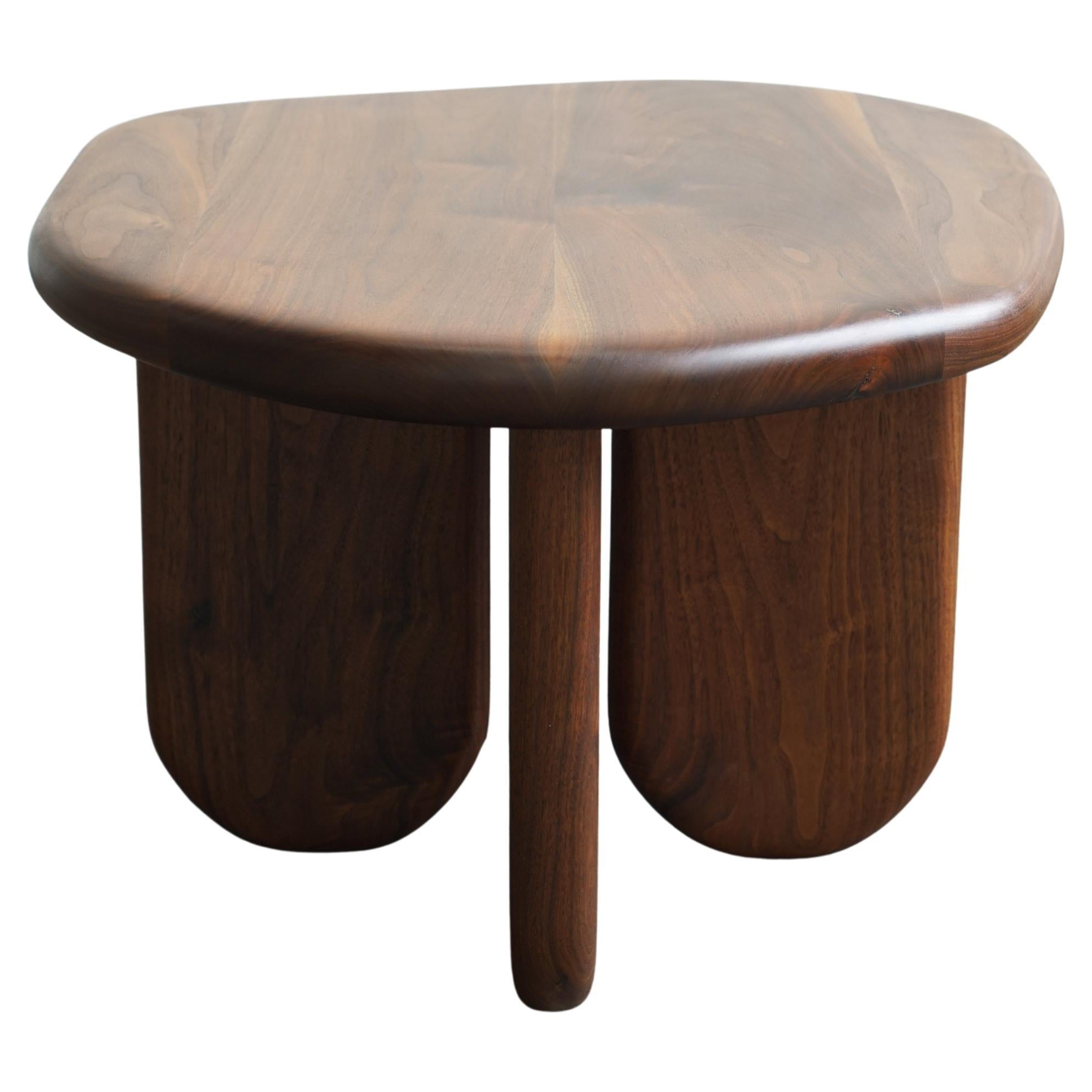 https://a.1stdibscdn.com/pebble-organic-shaped-modern-coffee-or-side-table-by-last-workshop-walnut-for-sale/f_73622/f_461236821754236693561/f_46123682_1754236694129_bg_processed.jpg
