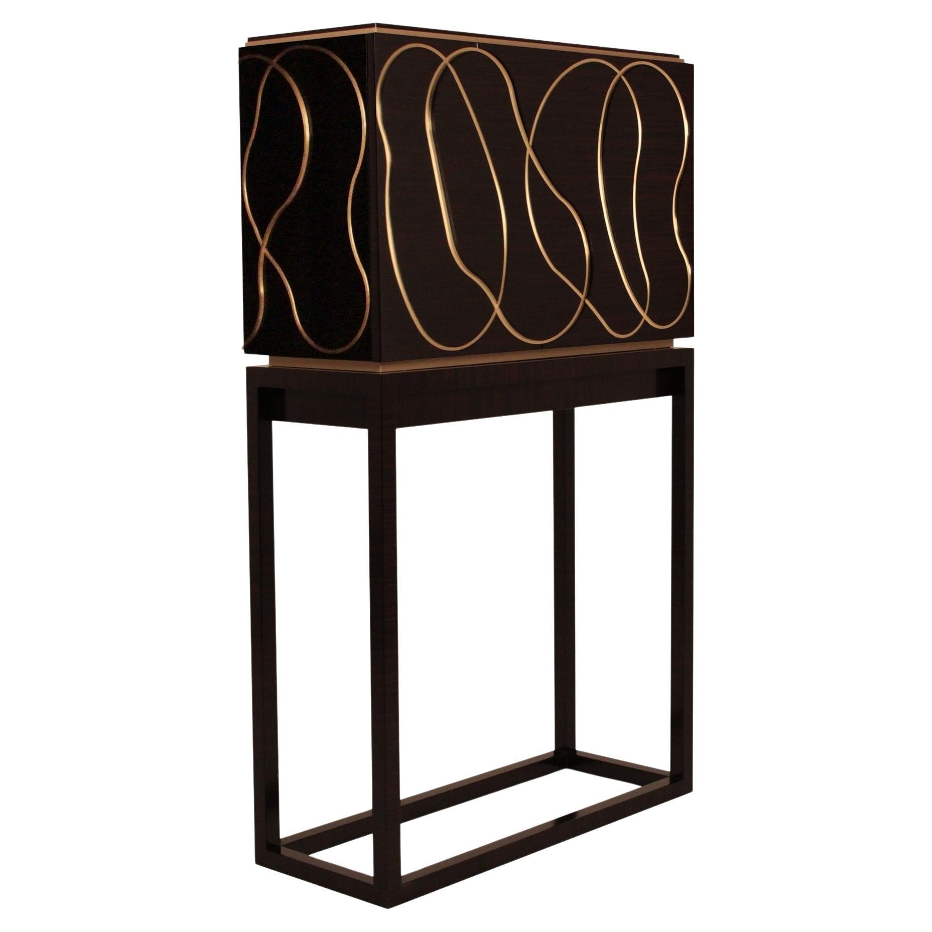 https://a.1stdibscdn.com/collectible-design-ebony-wood-cabinet-with-brass-detailing-customizable-for-sale/f_27693/f_463537121755775804683/f_46353712_1755775805187_bg_processed.jpg