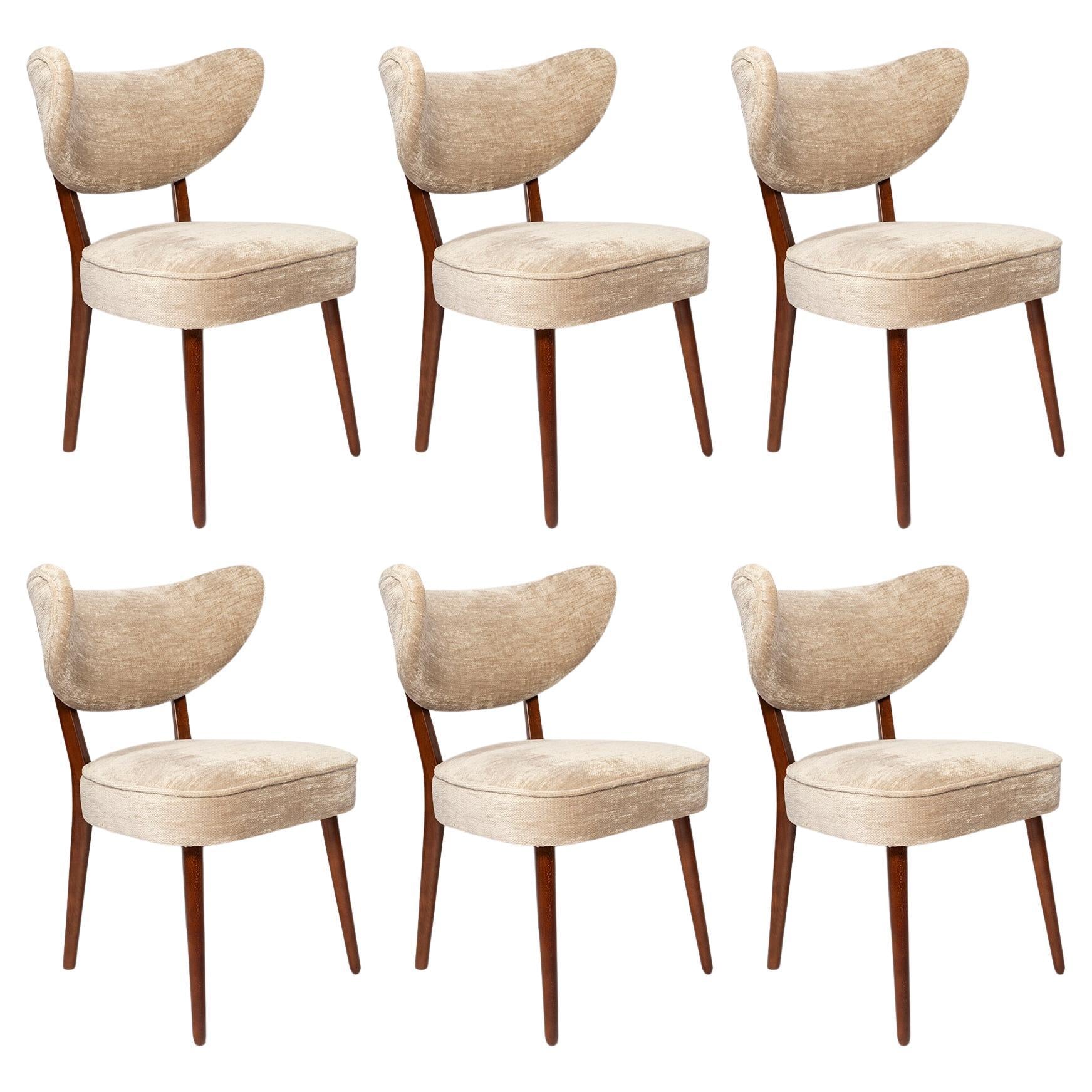 https://a.1stdibscdn.com/vintola-studio-six-dining-chairs-casamance-demoiselle-fabric-europe-poland-for-sale/f_34023/f_470659121760608069675/f_47065912_1760608070165_bg_processed.jpg