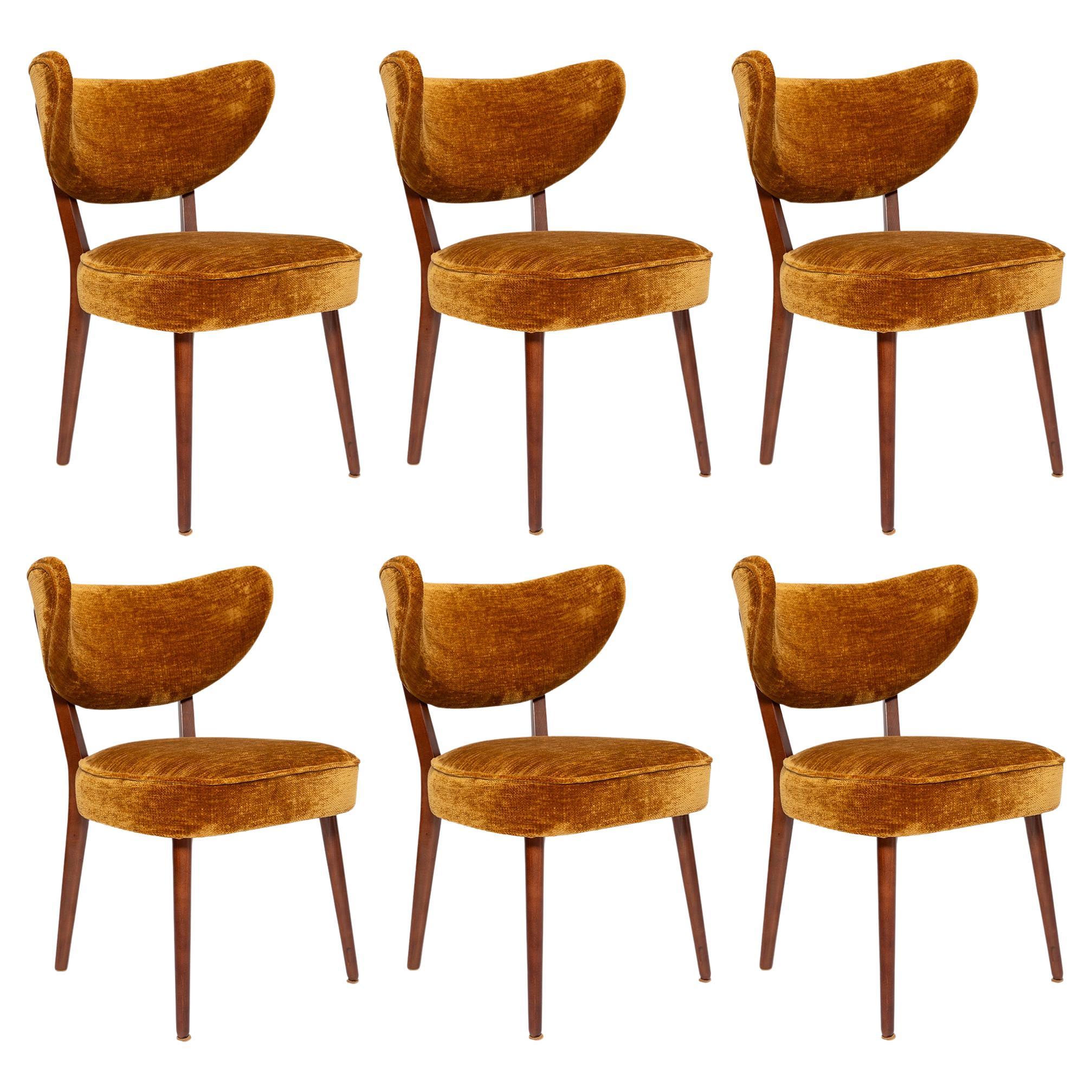 https://a.1stdibscdn.com/vintola-studio-six-dining-chairs-casamance-demoiselle-fabric-europe-poland-for-sale/f_34023/f_471510921761150069626/f_47151092_1761150070452_bg_processed.jpg