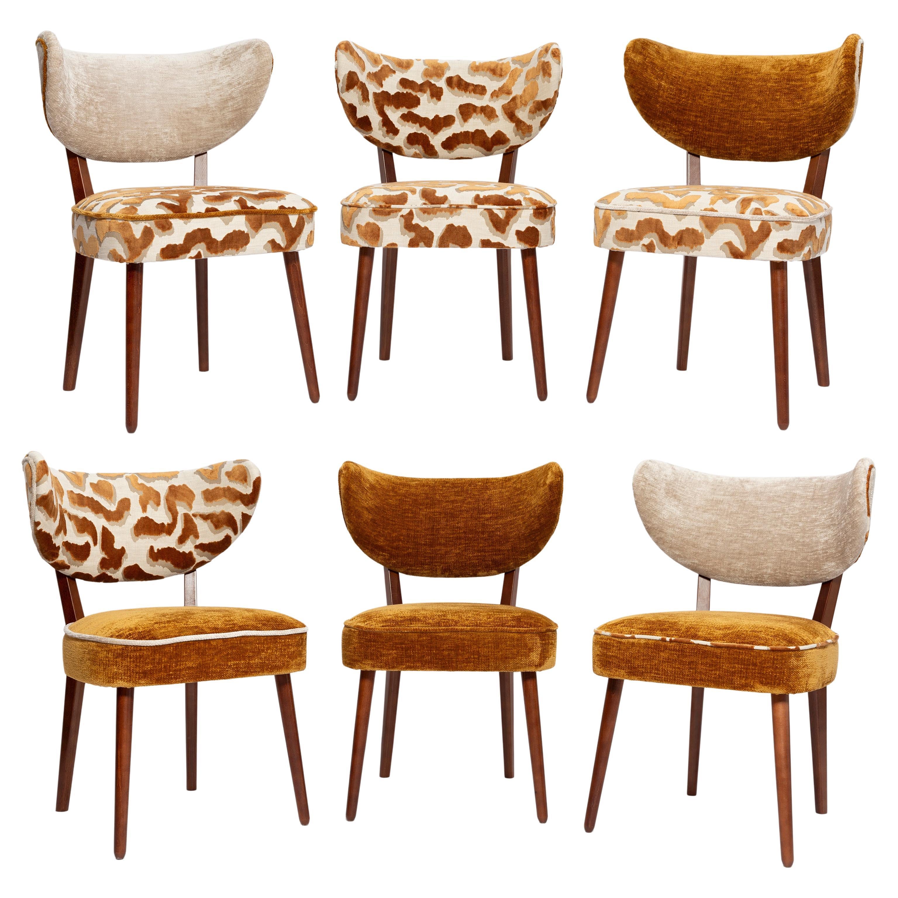 https://a.1stdibscdn.com/vintola-studio-six-dining-chairs-casamance-demoiselle-and-nimbus-fabric-for-sale/f_34023/f_472465221761659676571/f_47246522_1761659678242_bg_processed.jpg