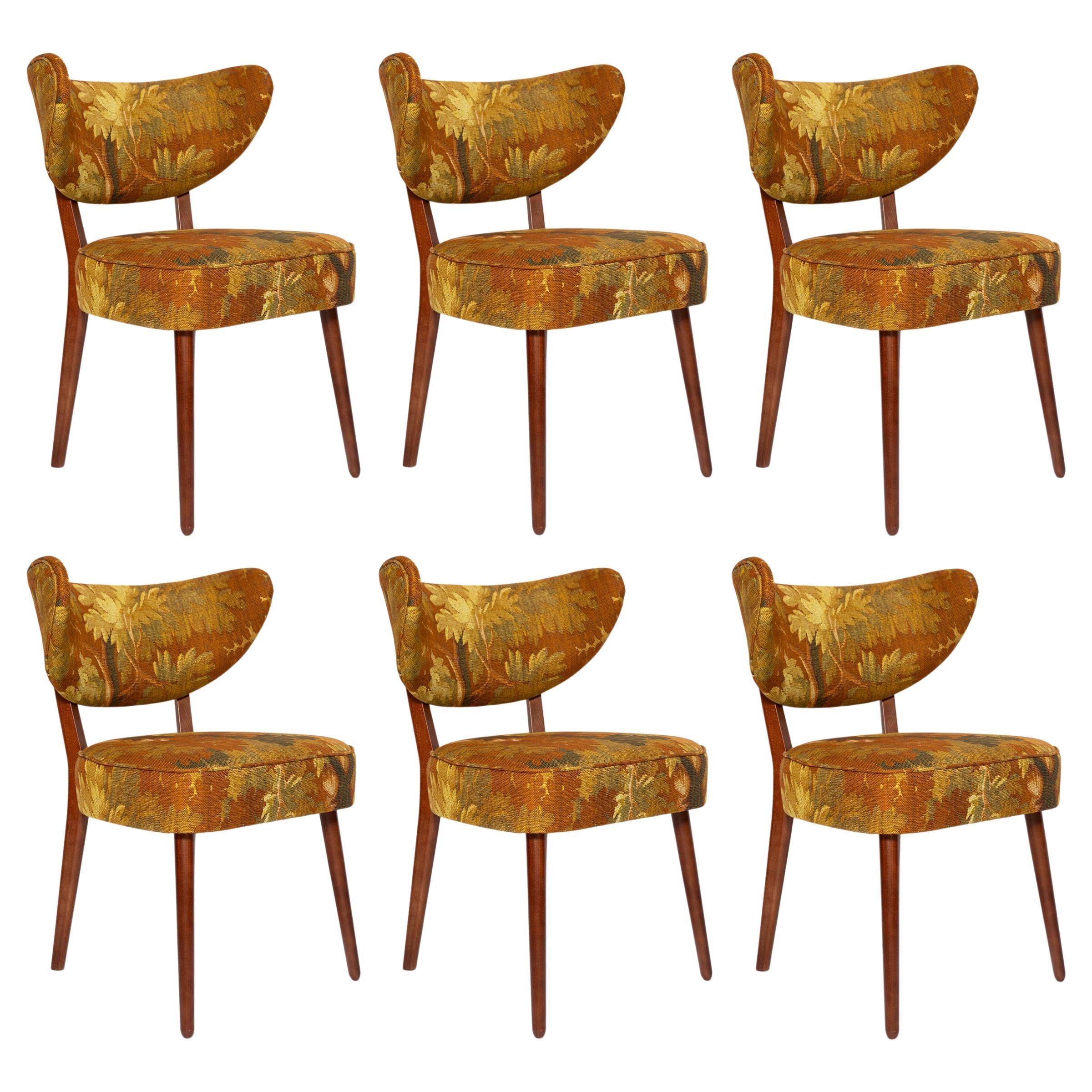 https://a.1stdibscdn.com/set-of-six-shell-dining-chairs-linen-schwarzwald-by-dedar-vintola-studio-for-sale/f_34023/f_477393121764325376017/f_47739312_1764325376871_bg_processed.jpg