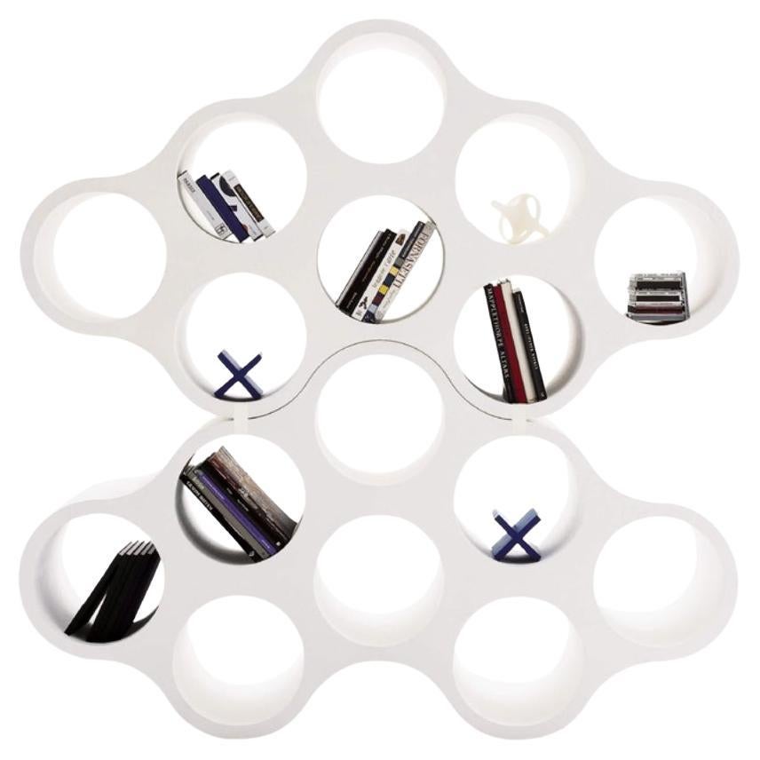 https://a.1stdibscdn.com/cloud-bookshelf-by-erwan-bouroullec-ronan-bouroullec-for-cappellini-for-sale-picture-3/f_16392/f_478332721764858609888/f_47833172_1764857913008_bg_processed.jpg