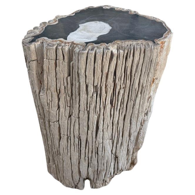 https://a.1stdibscdn.com/andrianna-shamaris-abstract-high-quality-petrified-wood-side-table-for-sale/f_10806/f_478982621765213821431/f_47898262_1765213821565_bg_processed.jpg