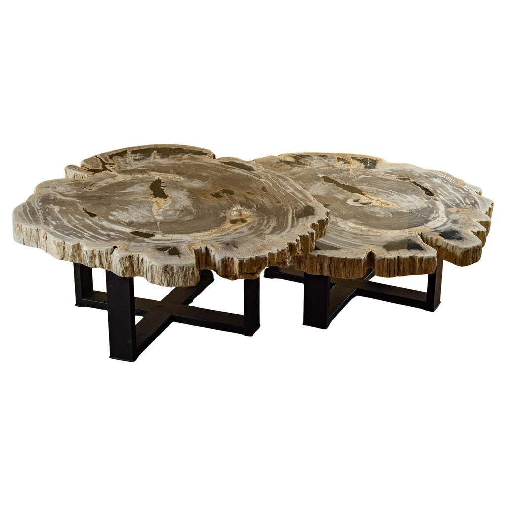 https://a.1stdibscdn.com/pair-of-authentic-miocene-petrified-wood-coffee-tables-with-black-metal-base-for-sale/f_25203/f_480070121765827155366/f_48007012_1765827155863_bg_processed.jpg