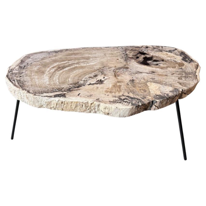 https://a.1stdibscdn.com/andrianna-shamaris-minimalist-petrified-wood-coffee-table-for-sale/f_10806/f_480485021766082490715/f_48048502_1766082490906_bg_processed.jpg