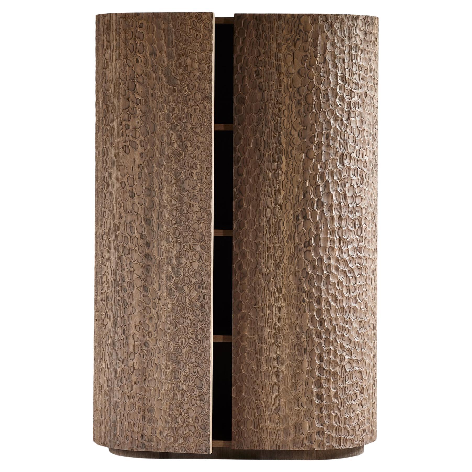 https://a.1stdibscdn.com/afa-cabinet-for-sale/f_107502/f_482447121767952974419/f_48244712_1767952974988_bg_processed.jpg