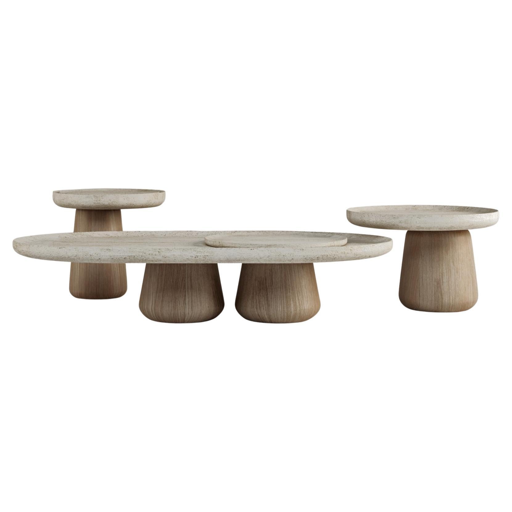 https://a.1stdibscdn.com/set-bold-blend-coffee-table-large-medium-small-for-sale/f_95332/f_482973621768298406213/f_48297362_1768298406499_bg_processed.jpg