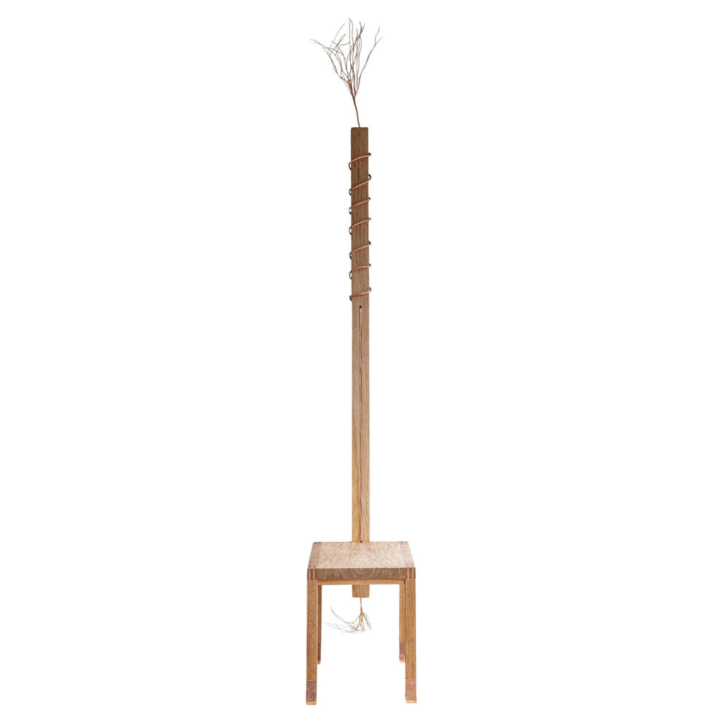 https://a.1stdibscdn.com/the-receiver-chair-by-marina-abramovic-la-metropolitana-rosa-morada-wood-copper-for-sale/f_55372/f_483093421768343743090/f_48309342_1768343743601_bg_processed.jpg