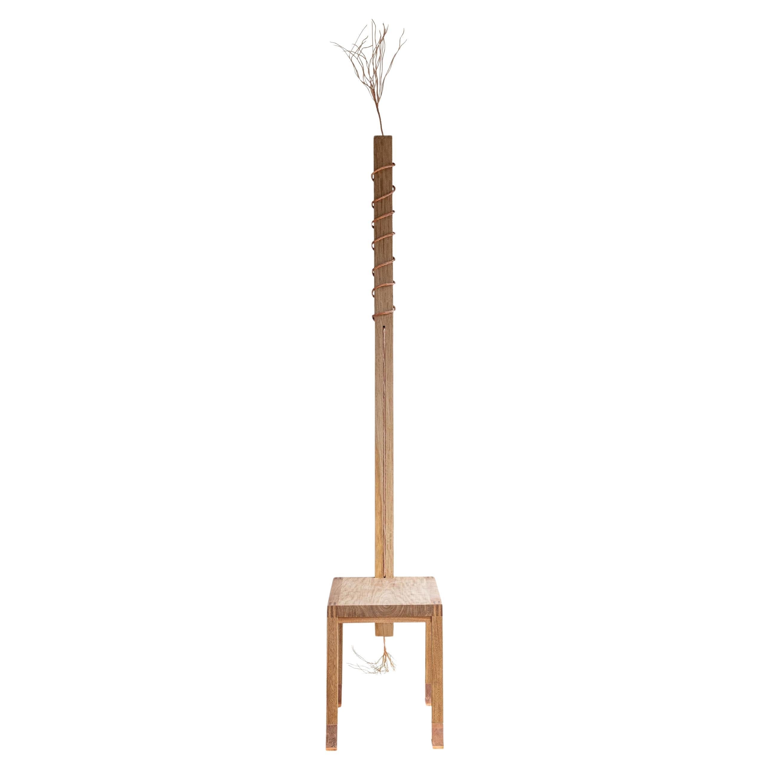 https://a.1stdibscdn.com/the-receiver-chair-by-marina-abramovic-la-metropolitana-rosa-morada-wood-copper-for-sale/f_55372/f_483093421768343743090/f_48309342_1768343743601_bg_processed.jpg