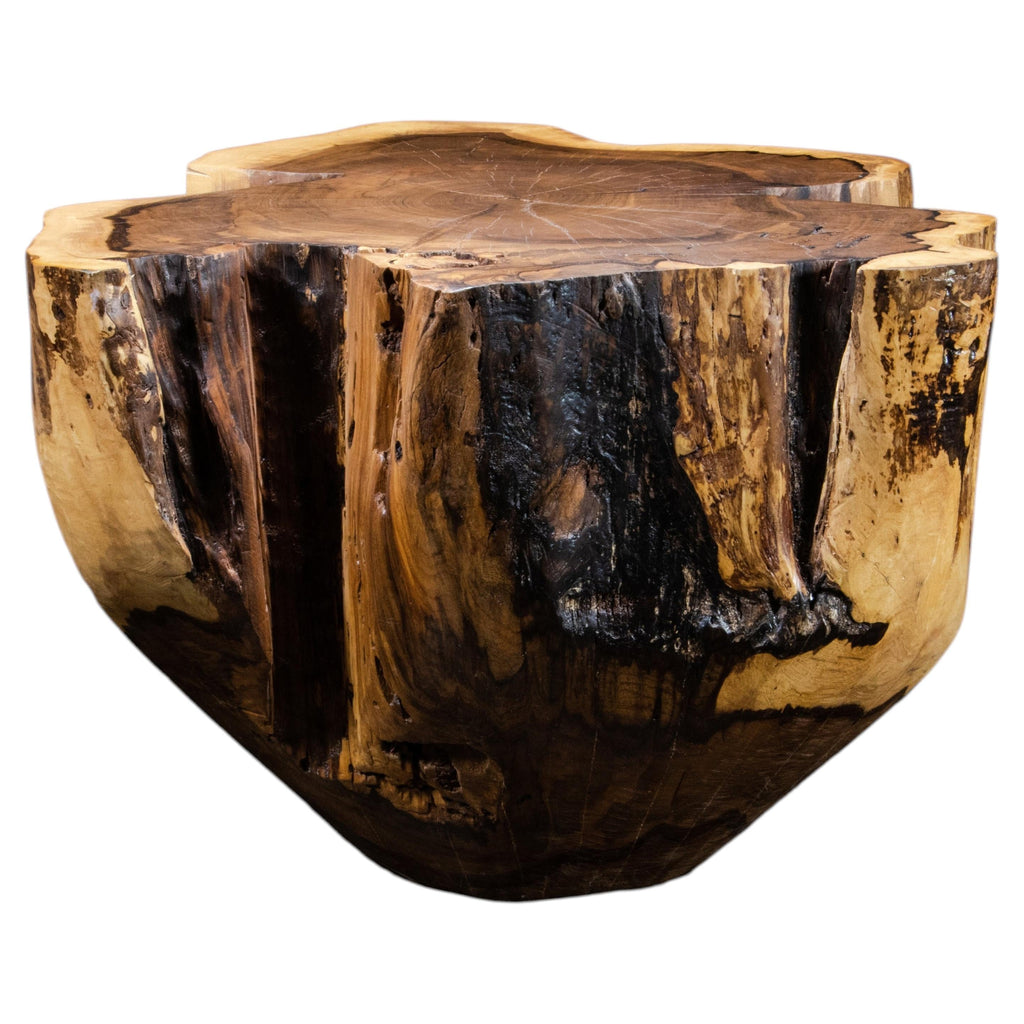 https://a.1stdibscdn.com/carved-trunk-solid-exotic-wood-live-edge-table-41-from-costantini-francisco-for-sale/f_25173/f_490586021772554927613/f_49058602_1772554928004_bg_processed.jpg