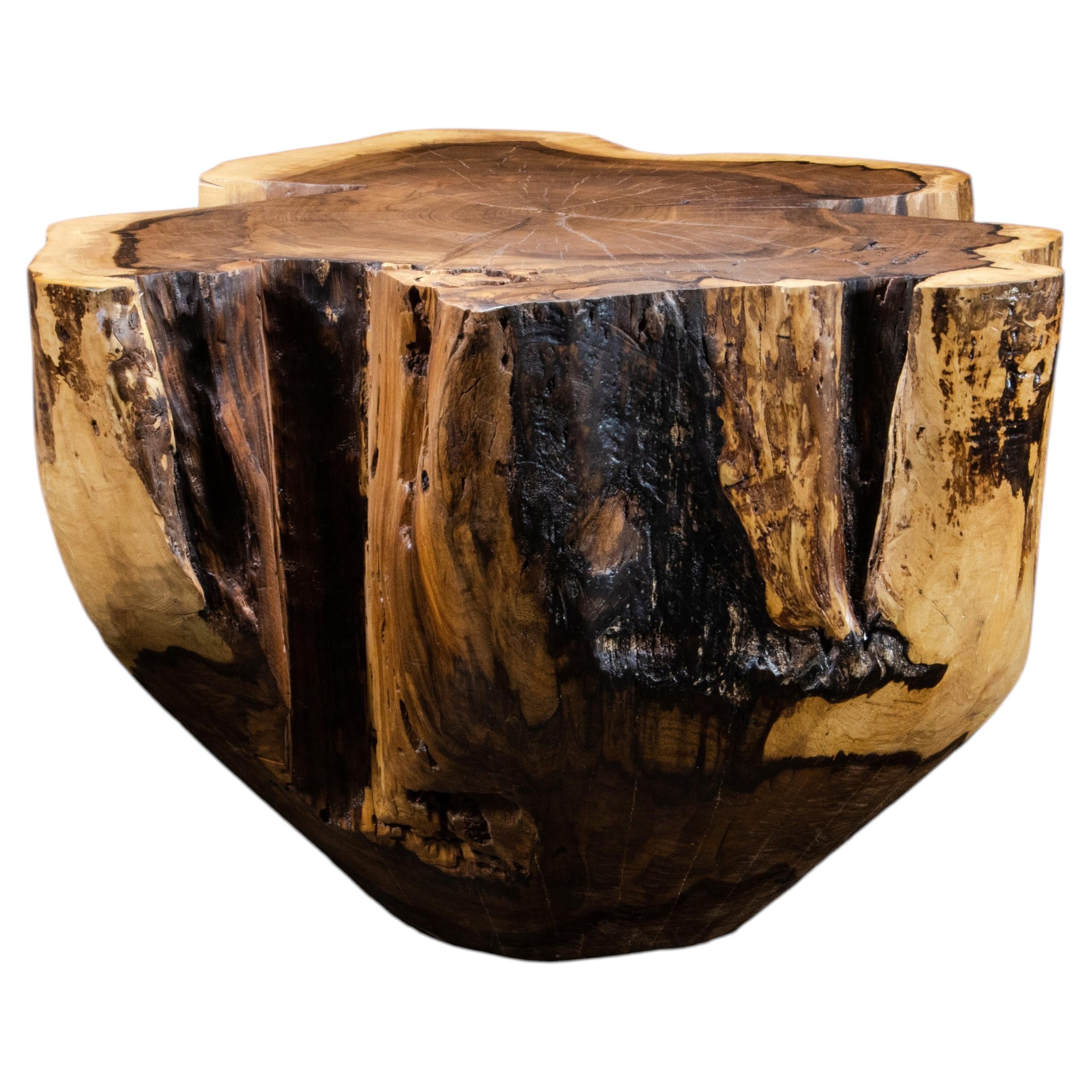 https://a.1stdibscdn.com/carved-trunk-solid-exotic-wood-live-edge-table-41-from-costantini-francisco-for-sale/f_25173/f_490586021772554927613/f_49058602_1772554928004_bg_processed.jpg
