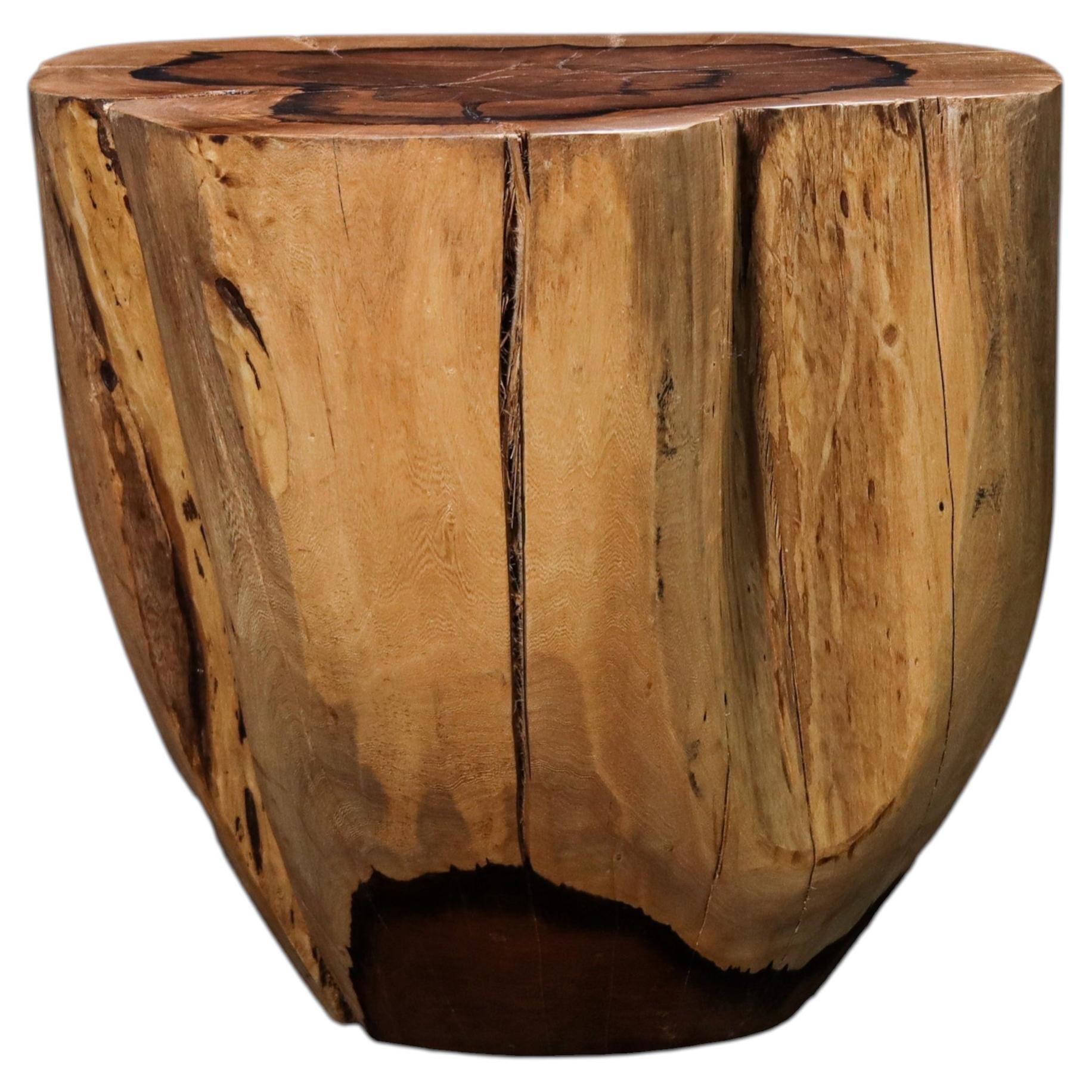 https://a.1stdibscdn.com/carved-trunk-solid-exotic-wood-live-edge-table-48-from-costantini-francisco-for-sale/f_25173/f_490609721772563285800/f_49060972_1772563285987_bg_processed.jpg