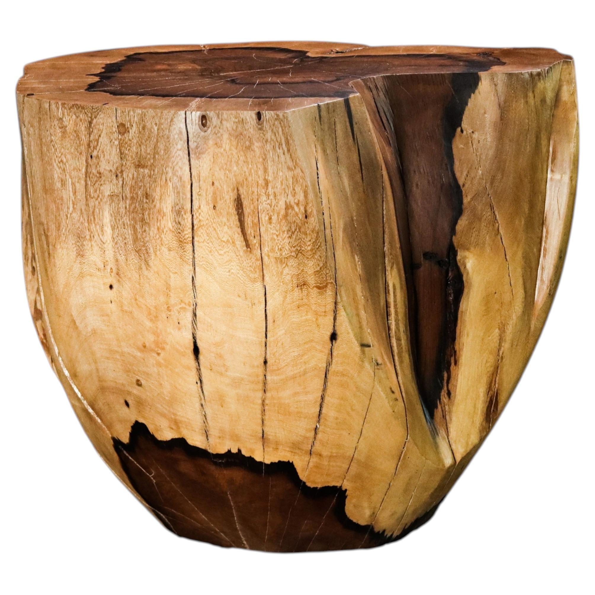 https://a.1stdibscdn.com/carved-trunk-solid-exotic-wood-live-edge-table-49-from-costantini-francisco-for-sale/f_25173/f_490678721772624534759/f_49067872_1772624534966_bg_processed.jpg
