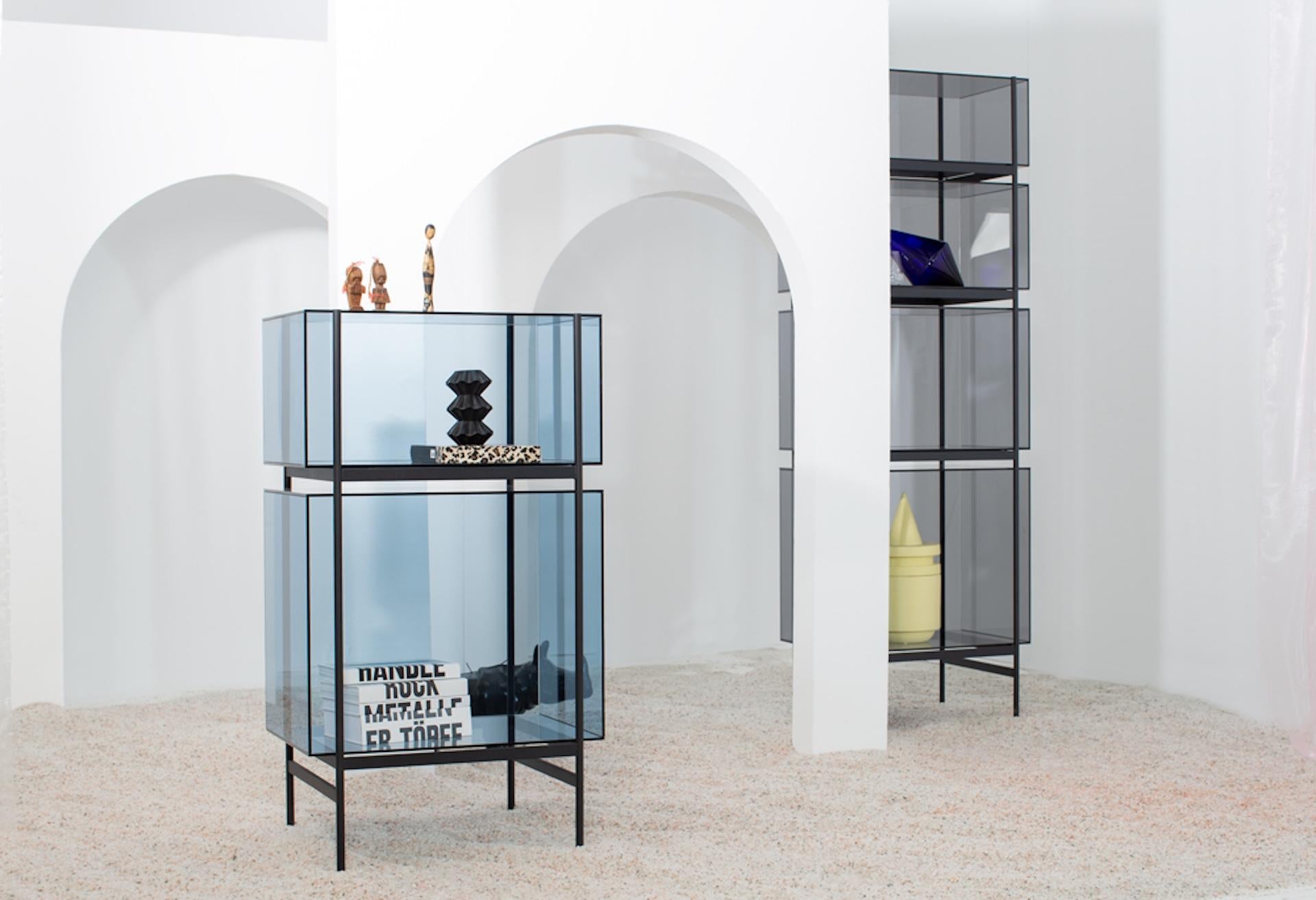 https://a.1stdibscdn.com/customizable-pulpo-lyn-glass-cabinet-by-visser-meijwaard-for-sale-picture-8/f_44652/f_435870621739290874769/lyn_cabinets_pulpo_master.jpg