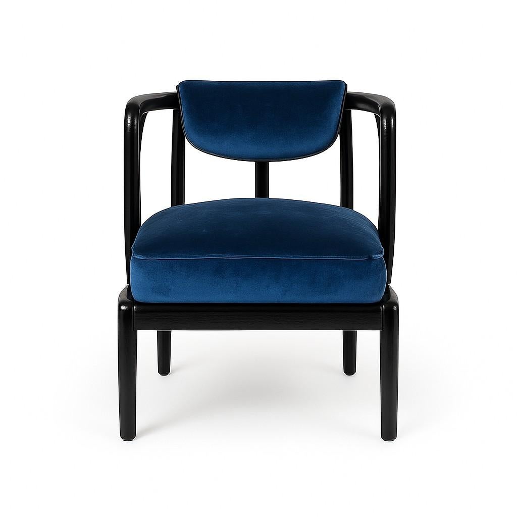 https://a.1stdibscdn.com/mid-century-style-armchair-in-black-frame-navy-blue-resistant-velvet-for-sale-picture-2/f_27693/f_454204821749707327087/namo_master.jpg