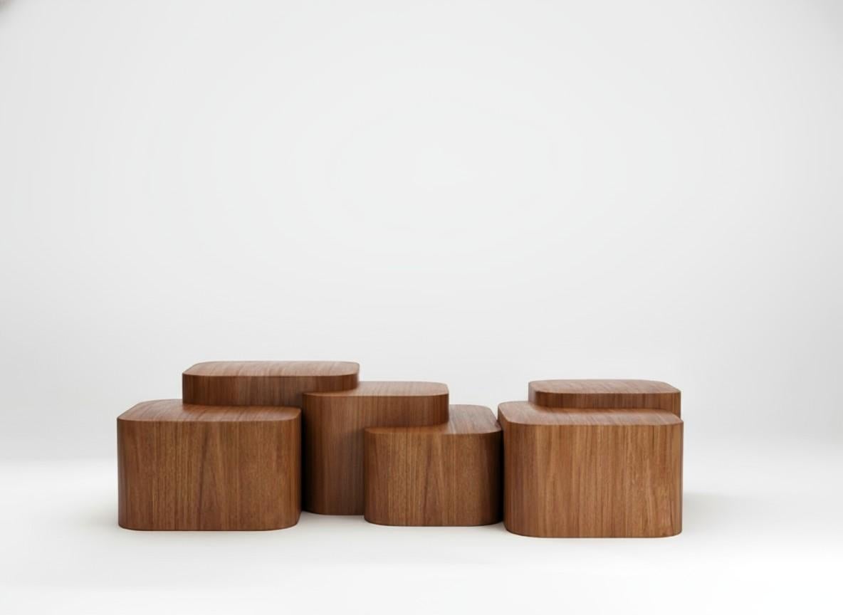 https://a.1stdibscdn.com/platea-coffee-table-in-matte-walnut-by-sidani-design-for-sale-picture-2/f_27693/f_457908121762205845418/platea_walnut_master.jpg