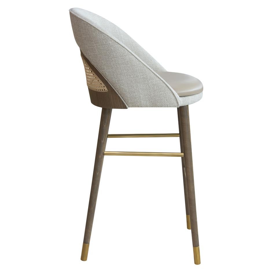 https://a.1stdibscdn.com/midcentury-modern-style-barstool-with-cane-backrest-brass-detailing-for-sale-picture-5/f_27693/f_401755421718341563487/sinatra_beta_cane_4_master.jpg